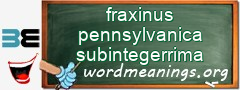 WordMeaning blackboard for fraxinus pennsylvanica subintegerrima